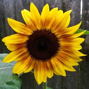 Meet your Posher, Angie